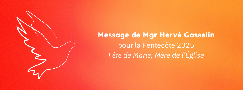 Actualité
